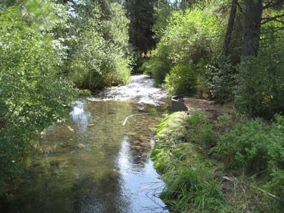 page-accomplishments-metolius-post-removal.jpg