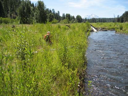 page-accomplishments-whychus-creek.jpg