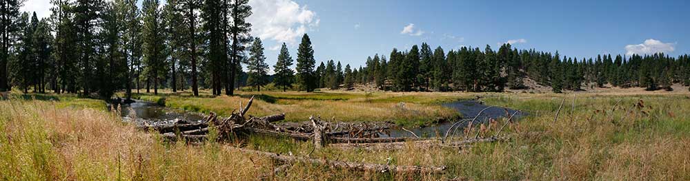 Camp-Polk-Pano.jpg