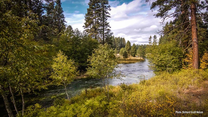 MetoliusRiver-02-1-Crop.jpg